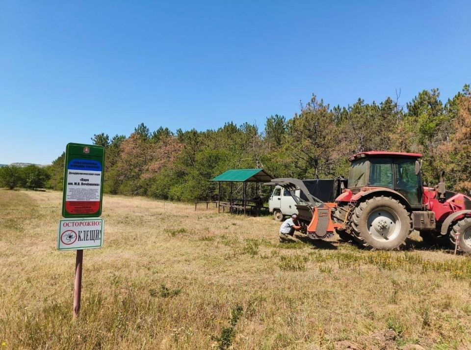 ����� �������: ��� �������� ��� ��������� � ����� ����� ���� � ��� ����