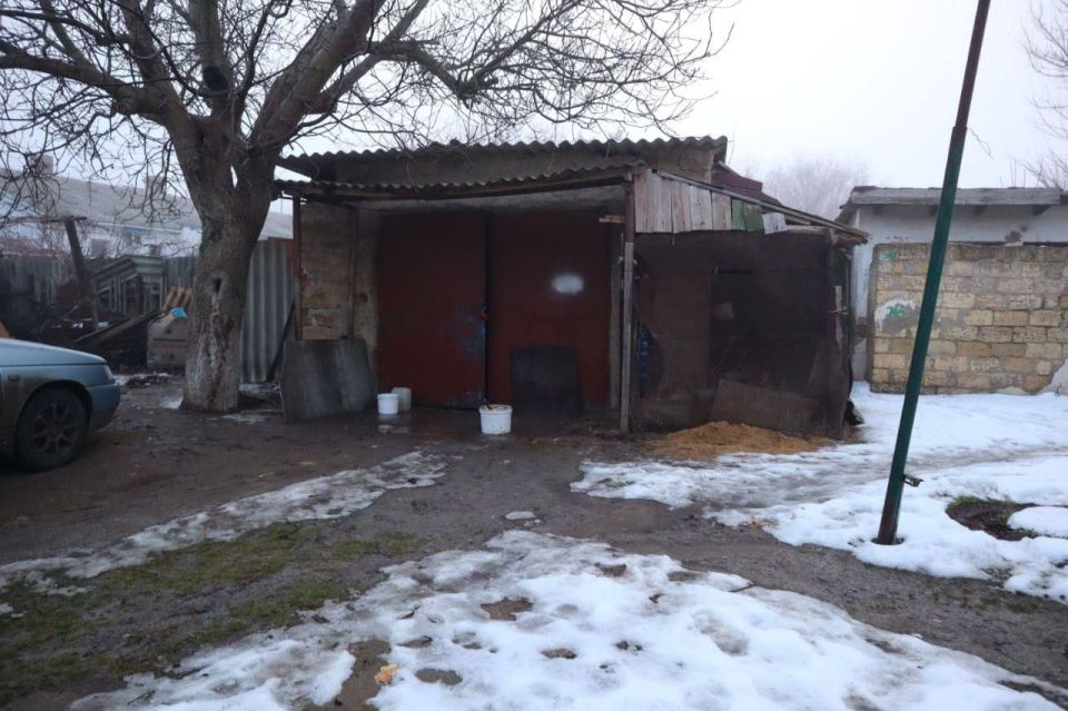 ���� ���������: ������� ���� ������ �� ������� � ����������� �� �������� ����������� �. ����������, ������� �� ����� ��������������� � ������� ����