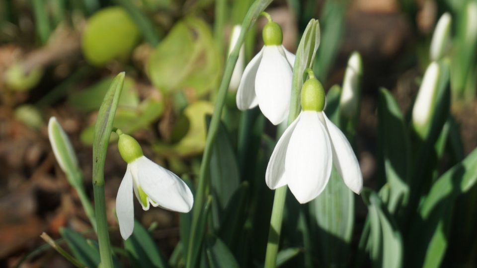 �� ���� ���������� ������ ���� � ���� ����������� ����� ������ ������ ������������