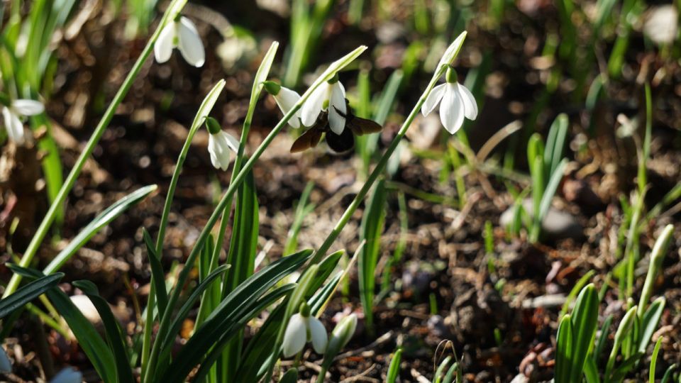 �� ���� ���������� ������ ���� � ���� ����������� ����� ������ ������ ������������