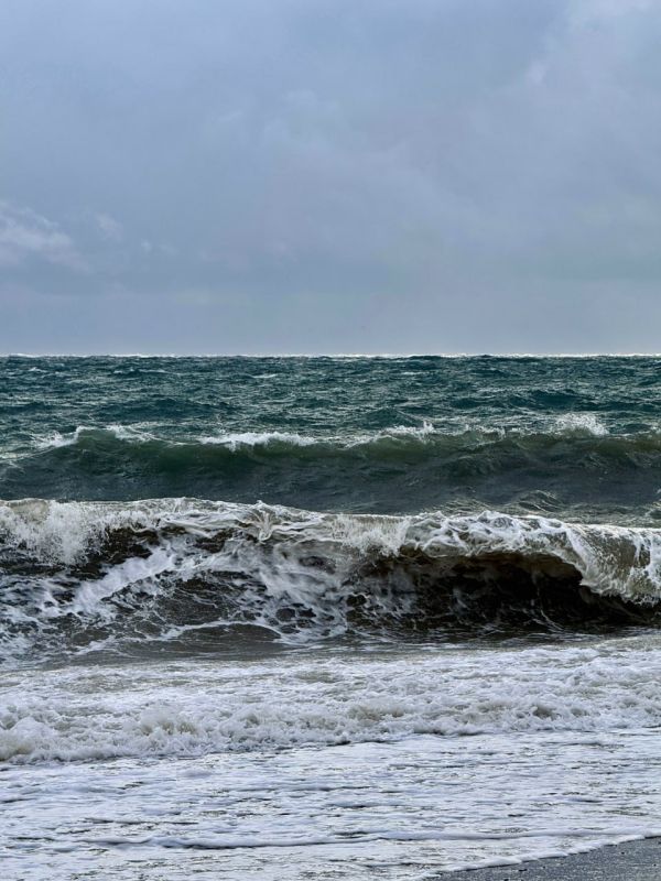 ����� � ������� ����������������