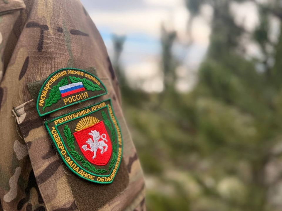 �� ��������� ��������� ������ ������, � ���� ���������� �������� ���������� ���������