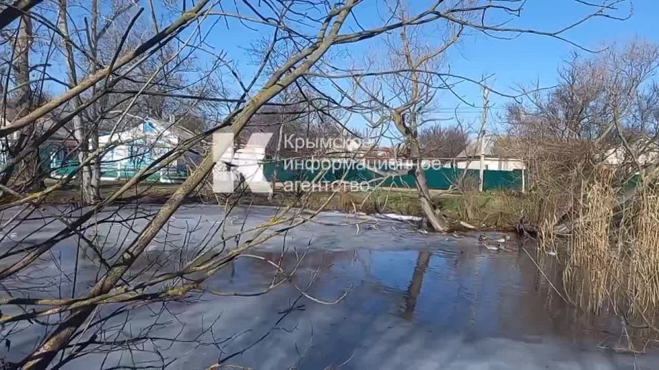 ������ �������� ����� ������