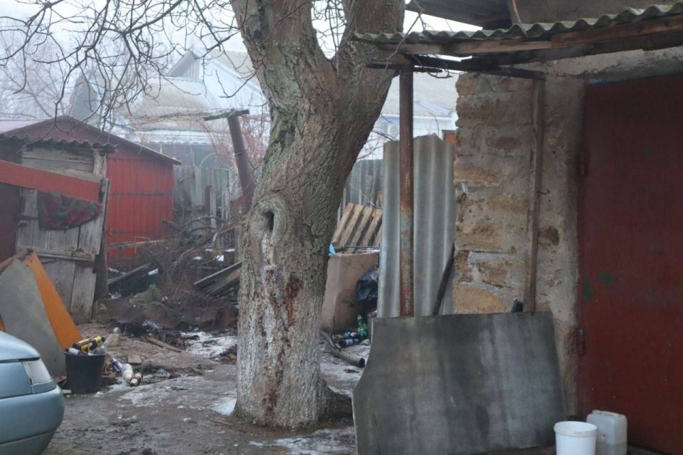 ���� ���������: ������� ���� ������ �� ������� � ����������� �� �������� ����������� �. ����������, ������� �� ����� ��������������� � ������� ����