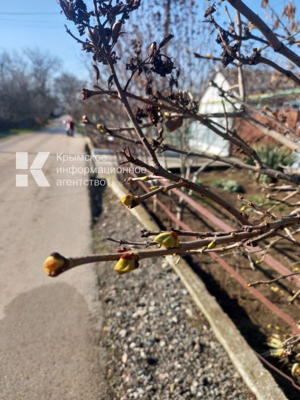 ������� ��-���������� �������� ������