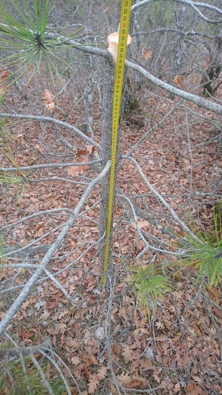 �� ��������� ��������� ������ ������, � ���� ���������� �������� ���������� ���������