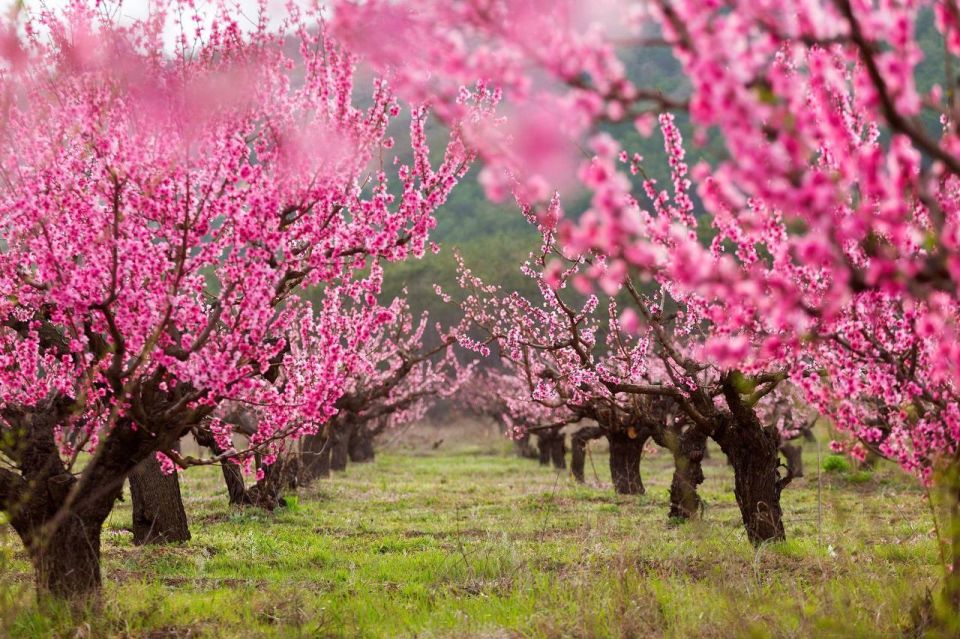 ������! ������������ � ���� ���������� � ���������� ���� ��������������� ��������� ������������ �������� �������� ����������