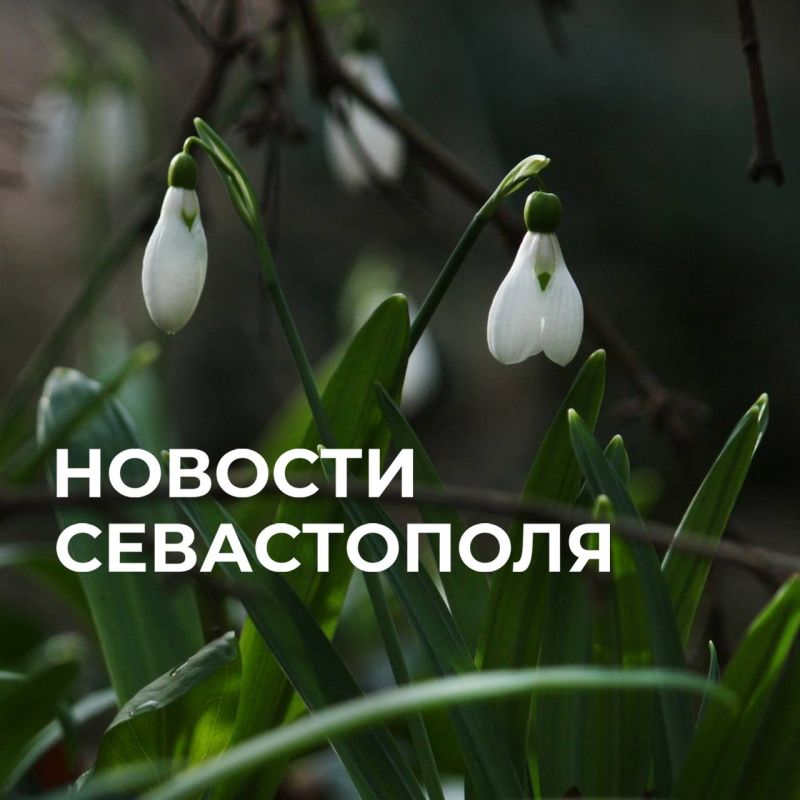 Михаил Развожаев: Коротко о главном:. Силы ПВО и Черноморского флота сбили 10 БПЛА