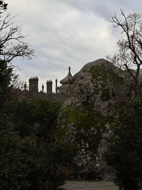 ����� ������ ��� ������� � ������ ����� 28 ������