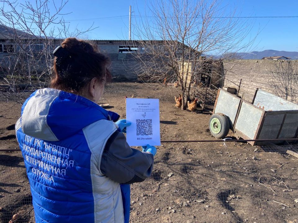 � ����� �������� ���������� �������� �������� � ����