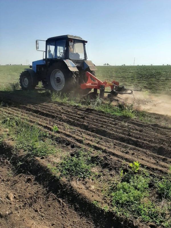 ����� �������: ��� �������� ��� ��������� � ����� ����� ���� � ��� ����