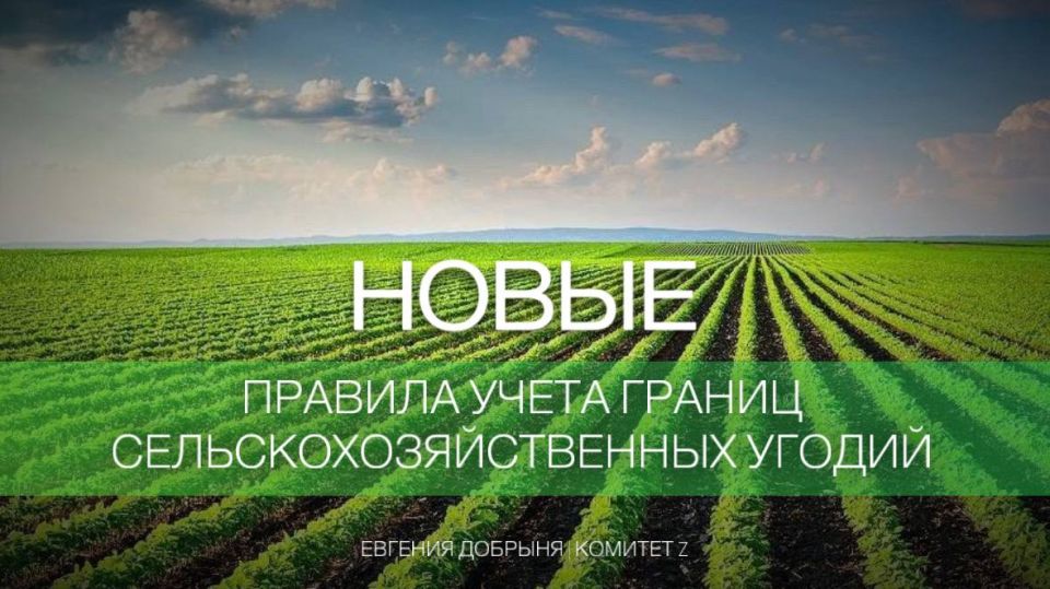 � 1 ���� 2026 ���� �������� ������� ����� ������ �������������������� ������