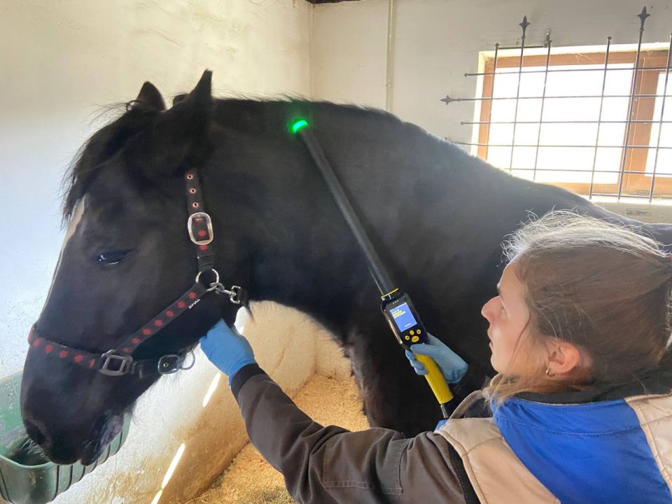 � ����� �������� ���������� �������� �������� � ����