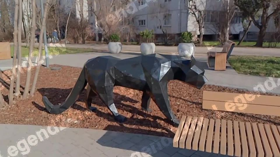 65 ������������ ����������� ������������� � ����������� �� 6 ���