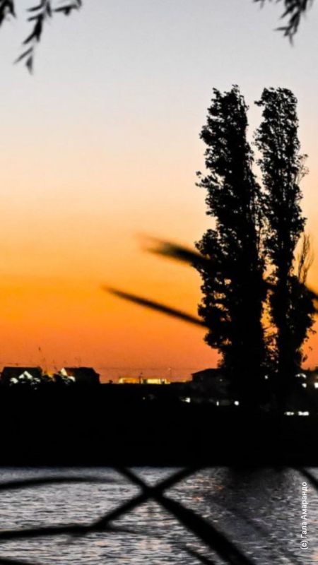 �������������: ���� - ������