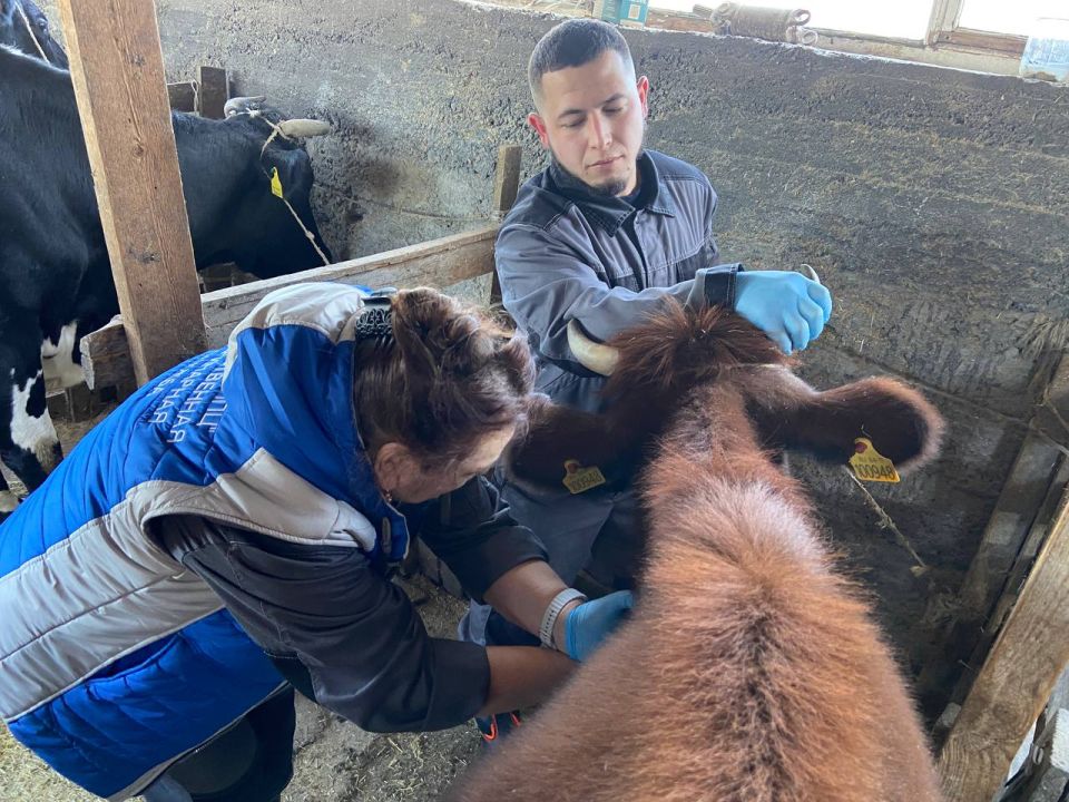 � ����� �������� ���������� �������� �������� � ����