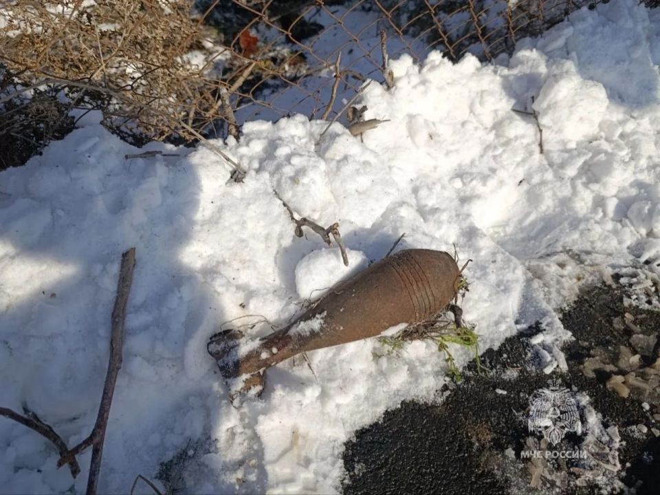 � ����������� ������ ���������� ���������� ���� ������ ������� ������������� �����