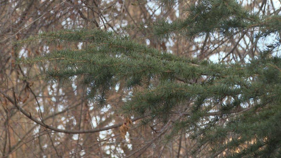 ������ ����, �����������!. #����������� #����