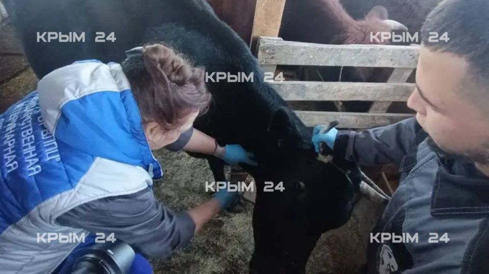 � �������������� ������ �������� ���������� �������� �������� � ����