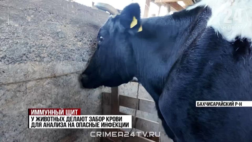 � �������������� ������ ������� ���������� �������� ��������