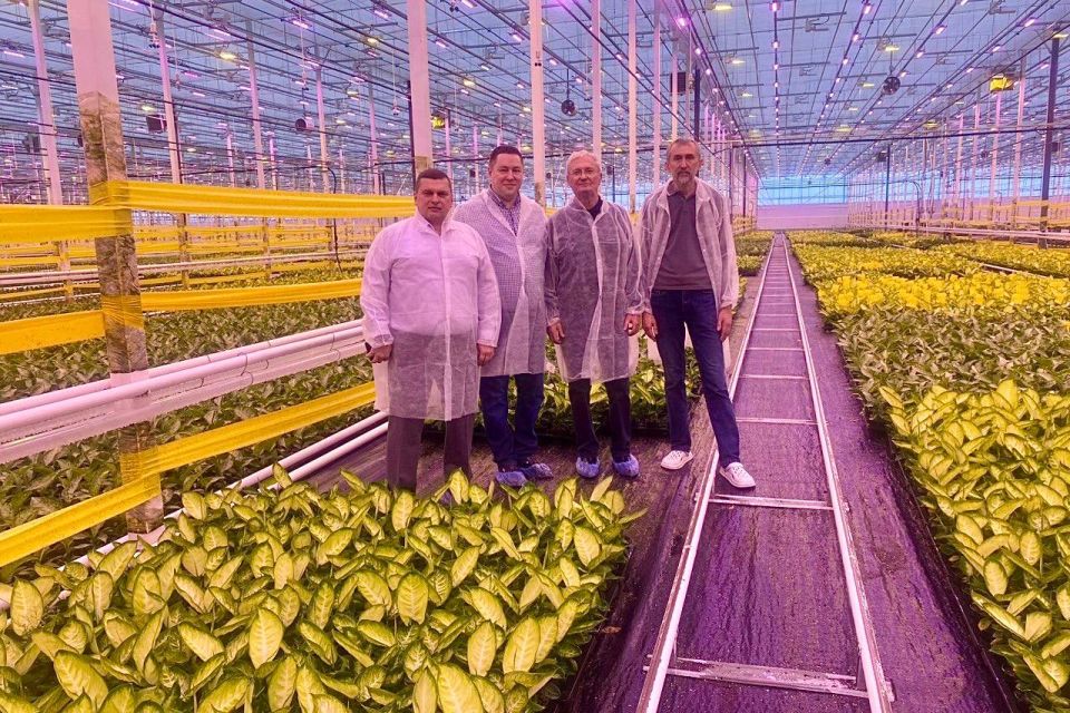 ����������� �������� ���������������� ������� �������� � �����