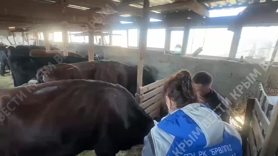 ��������� ����� �������� �������� ���������� ��������