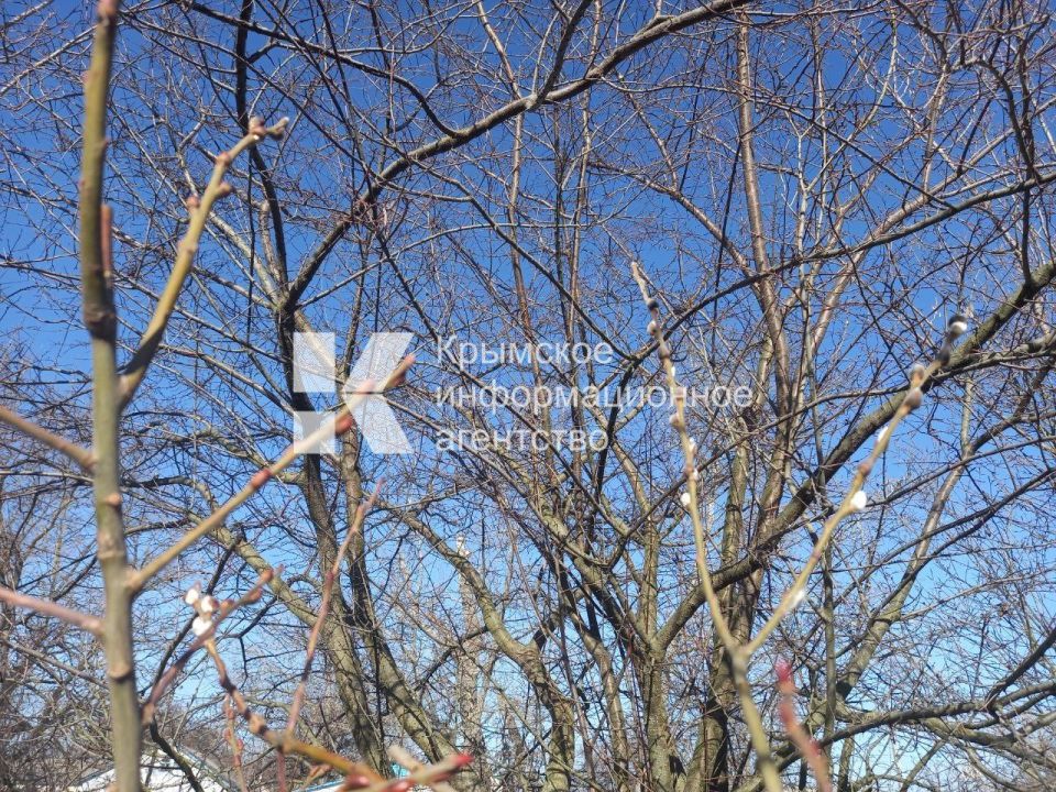 ������� ��-���������� �������� ������