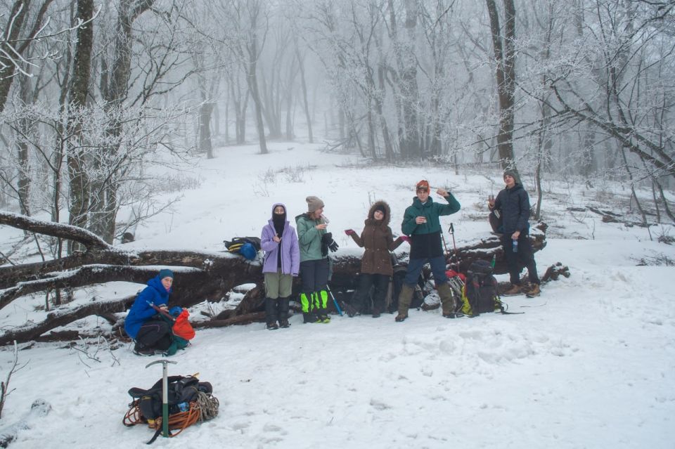 ����������� ������ �������� ������� � ����������� �������������� ������������� ����������