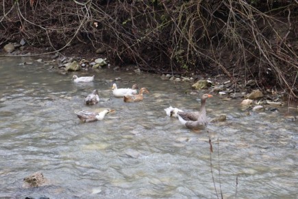 Прогноз погоды в Крыму на 29 января