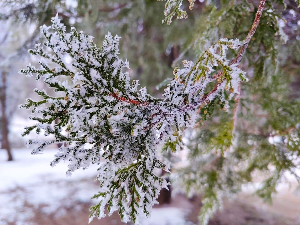 � ������ �����, �������!. ������, ����� ����� ���� ������� � ��������� ������, � ��� ����, ���� ����� �������, �������� �������