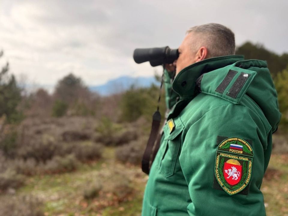 ����� �������: �������, � ������������ ��� � ������ � ����� � �������������� ������