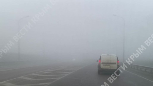 ����� ������ ������ ��������: ��������� �������