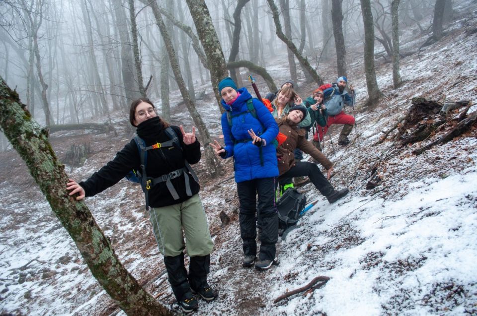 ����������� ������ �������� ������� � ����������� �������������� ������������� ����������