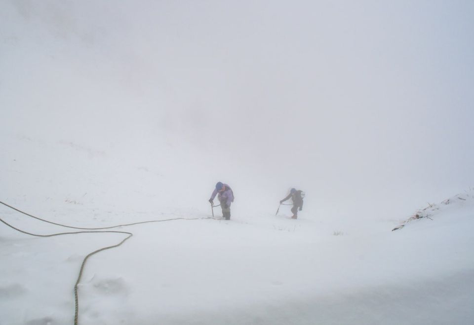 ����������� ������ �������� ������� � ����������� �������������� ������������� ����������