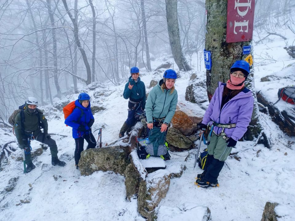 ����������� ������ �������� ������� � ����������� �������������� ������������� ����������