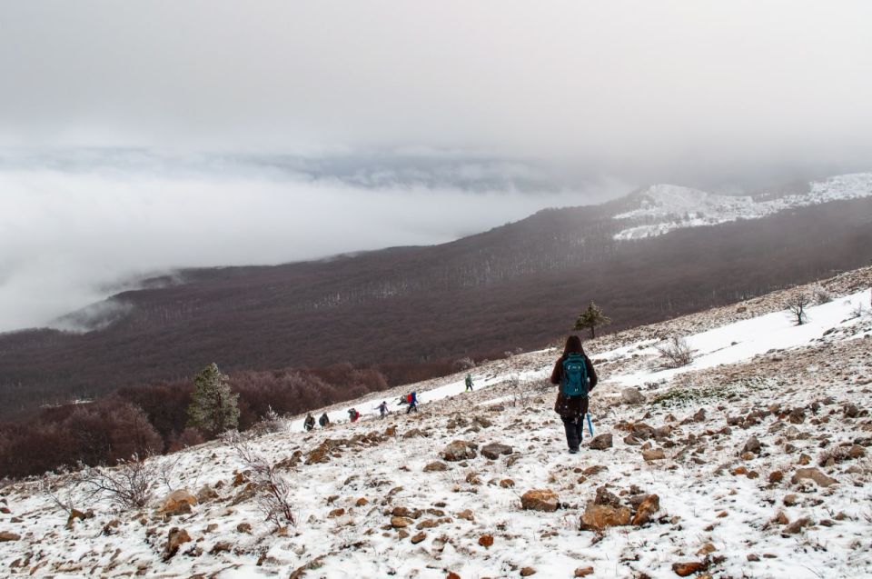 ����������� ������ �������� ������� � ����������� �������������� ������������� ����������