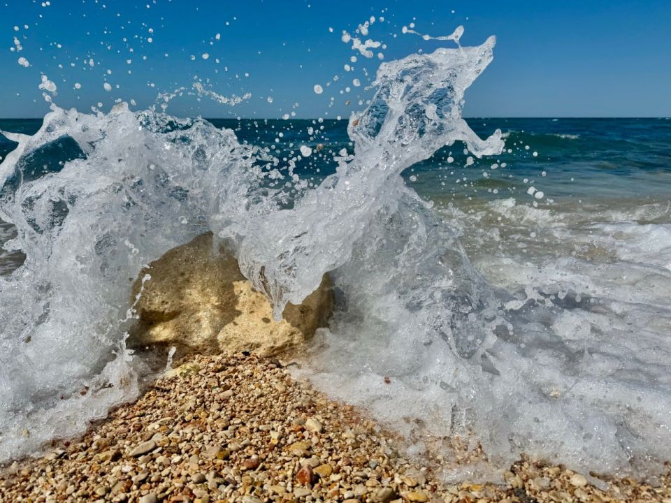 ����������� ������-����������� �������� ��������� ��� ����� � ��������