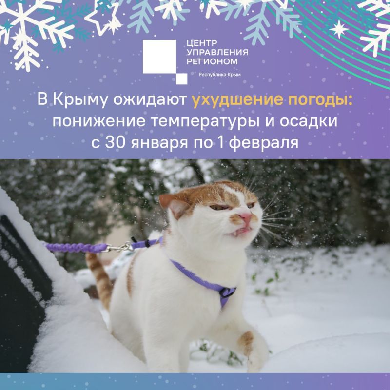 ���� � ������ ����� ������� ����������