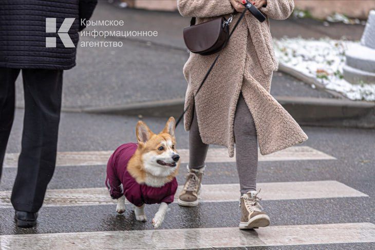 �� ���� ����������� �����, ����������� � ���������