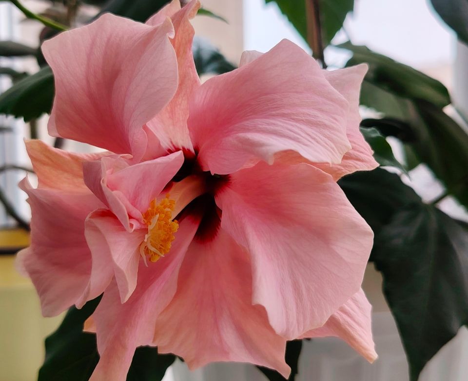 � ������ �����, �������!. �������� �� ��������� ������ �� �����, ����� ���� ���������� ����� ������, �������������� � ������������! ������� � �������� ���������� ���������� (�������� ��������� ������ � ���� �����), t +4 -...