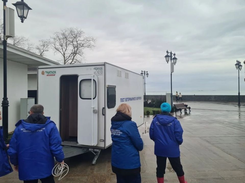 � ��������� ���������� ������������ ����� ��� ���������� �� �������