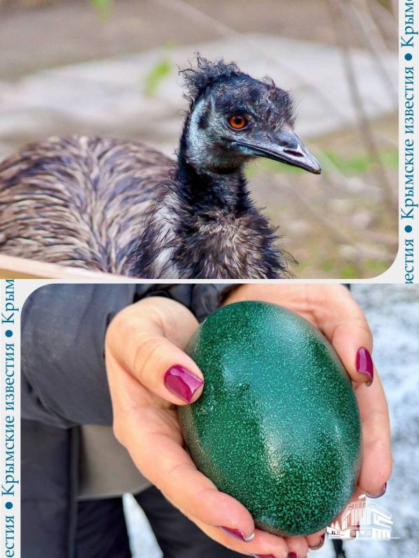 ������� ��� ������ ���� � ��������������� ���������