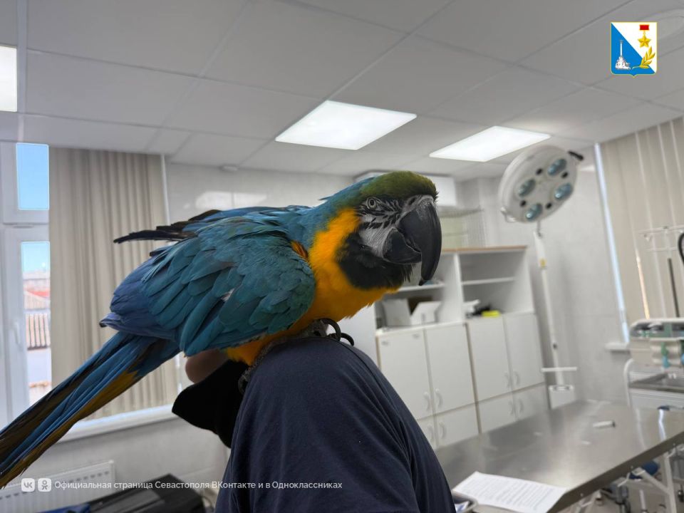 ������������� ����������� � ������ ������� 265 ��������