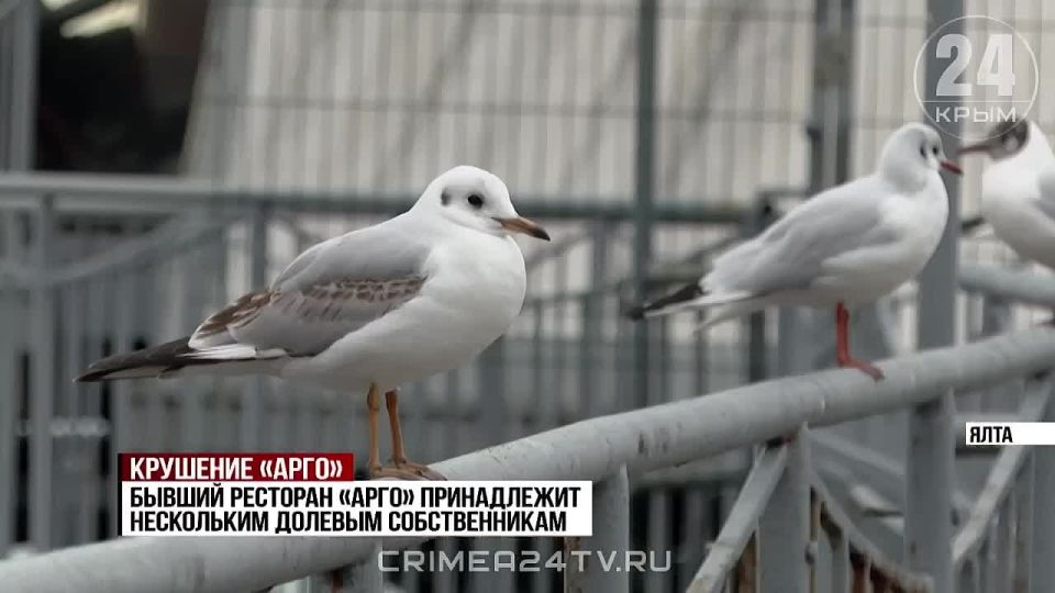 ����������� � ����������: ������ �������� ����� �� ���������� ���� ����� ������