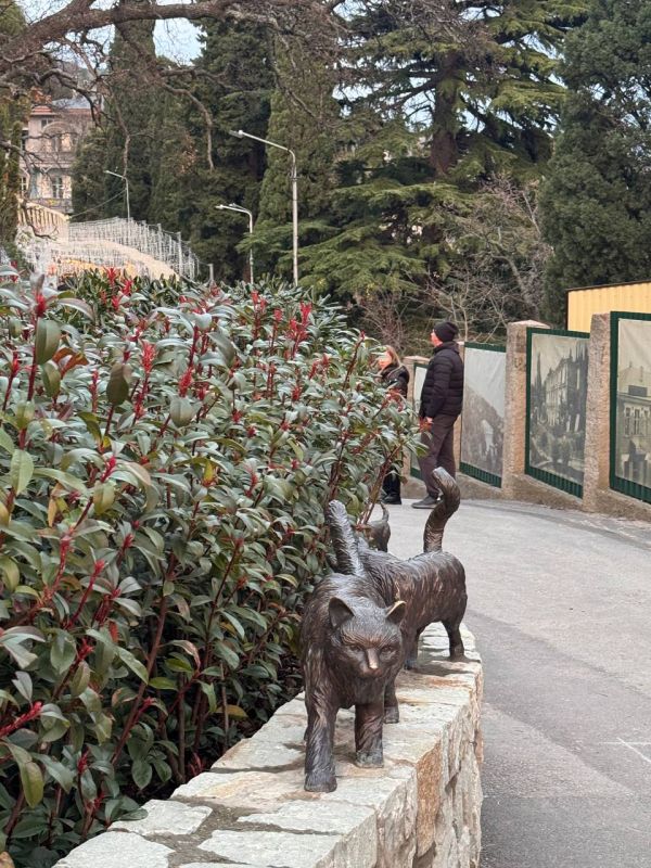 ����� ������ ��� ������� � ������ ����� 30 ������