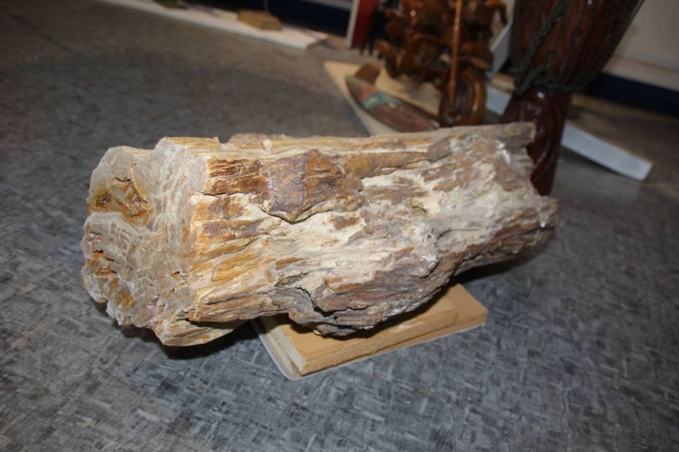 ���������� ��������������� ���� �������� �������� ��������. �����������. ���������� � ������������������ �������