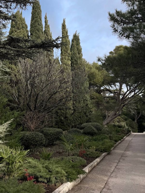 ������ ��������� ���� � ��� ������ �����