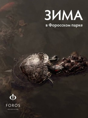 ������ ��������� ���� � ��� ������ �����