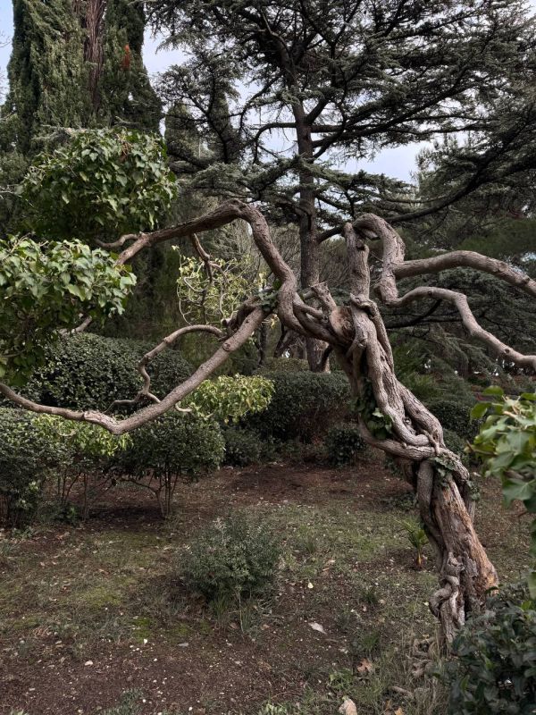 ������ ��������� ���� � ��� ������ �����