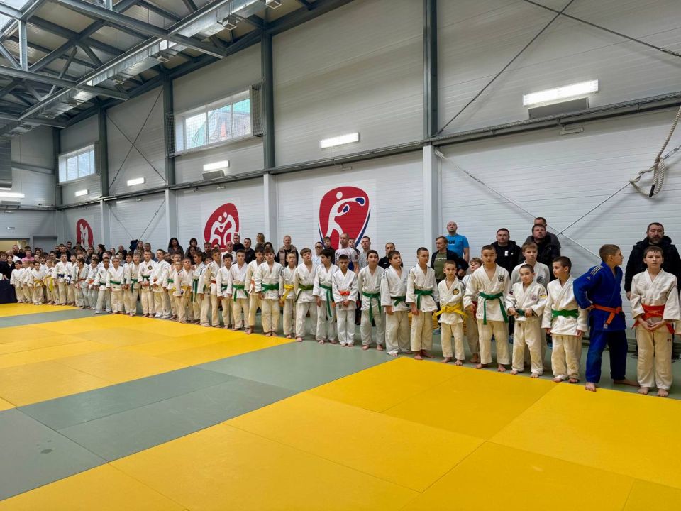 ���������� �����������: ������������ ������ �� ����� ������ ������� ������ ����, ��������� ���������� ���� ����� ���������� ��������